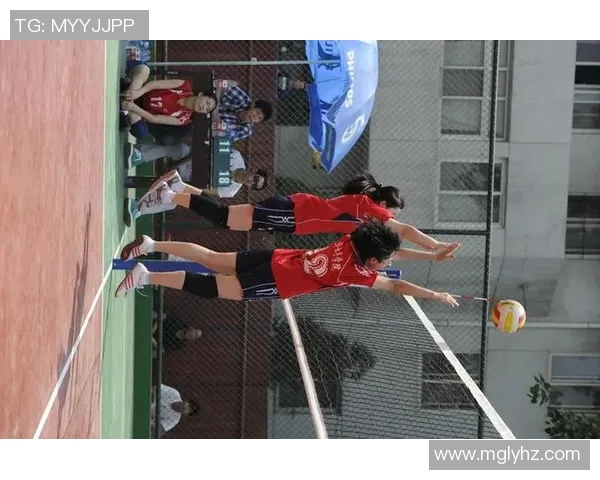 重庆排球队的默契配合揭秘：排球赛场上的团队精神与战术分析